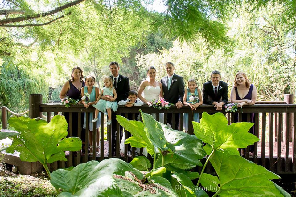 Wedding Picture Gallery