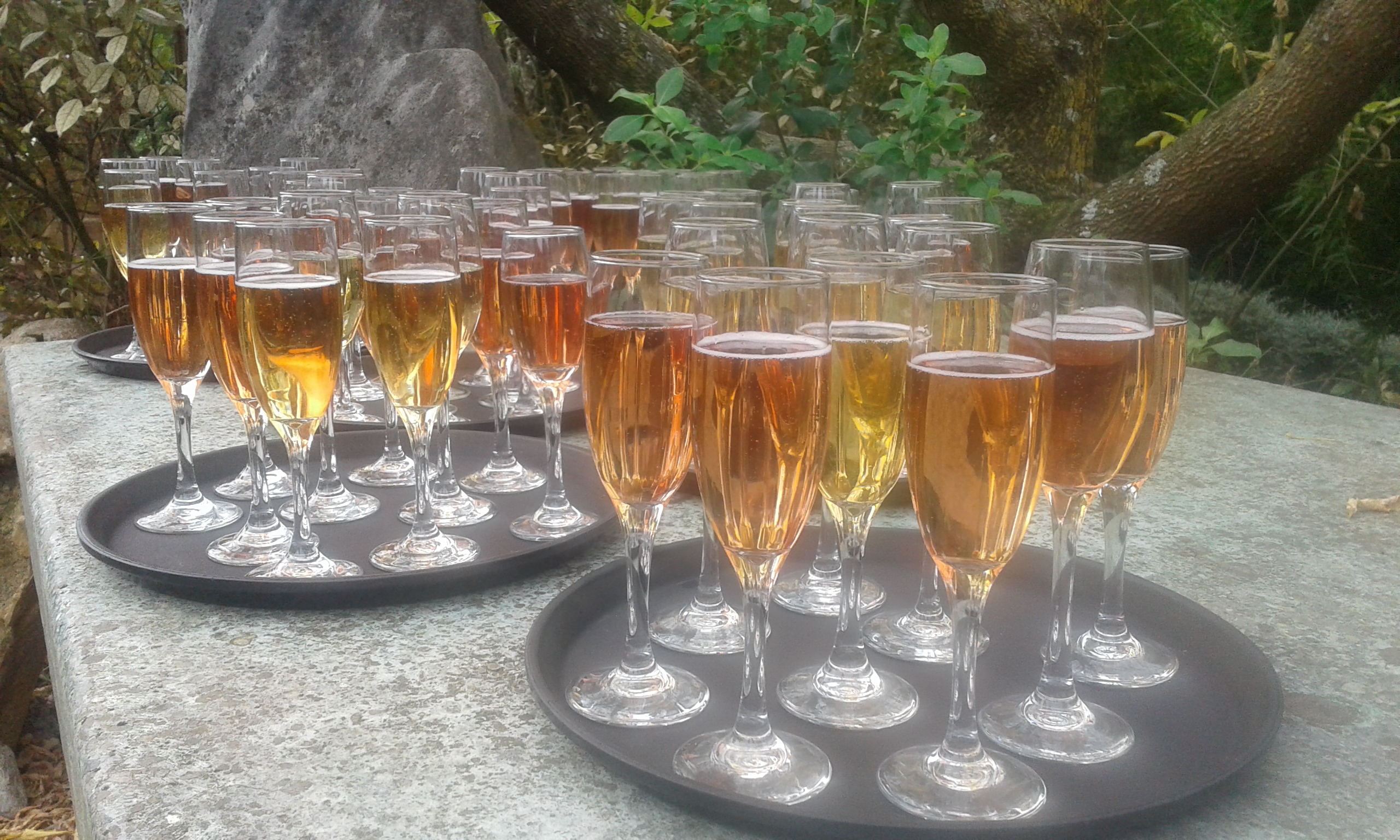 private function hire