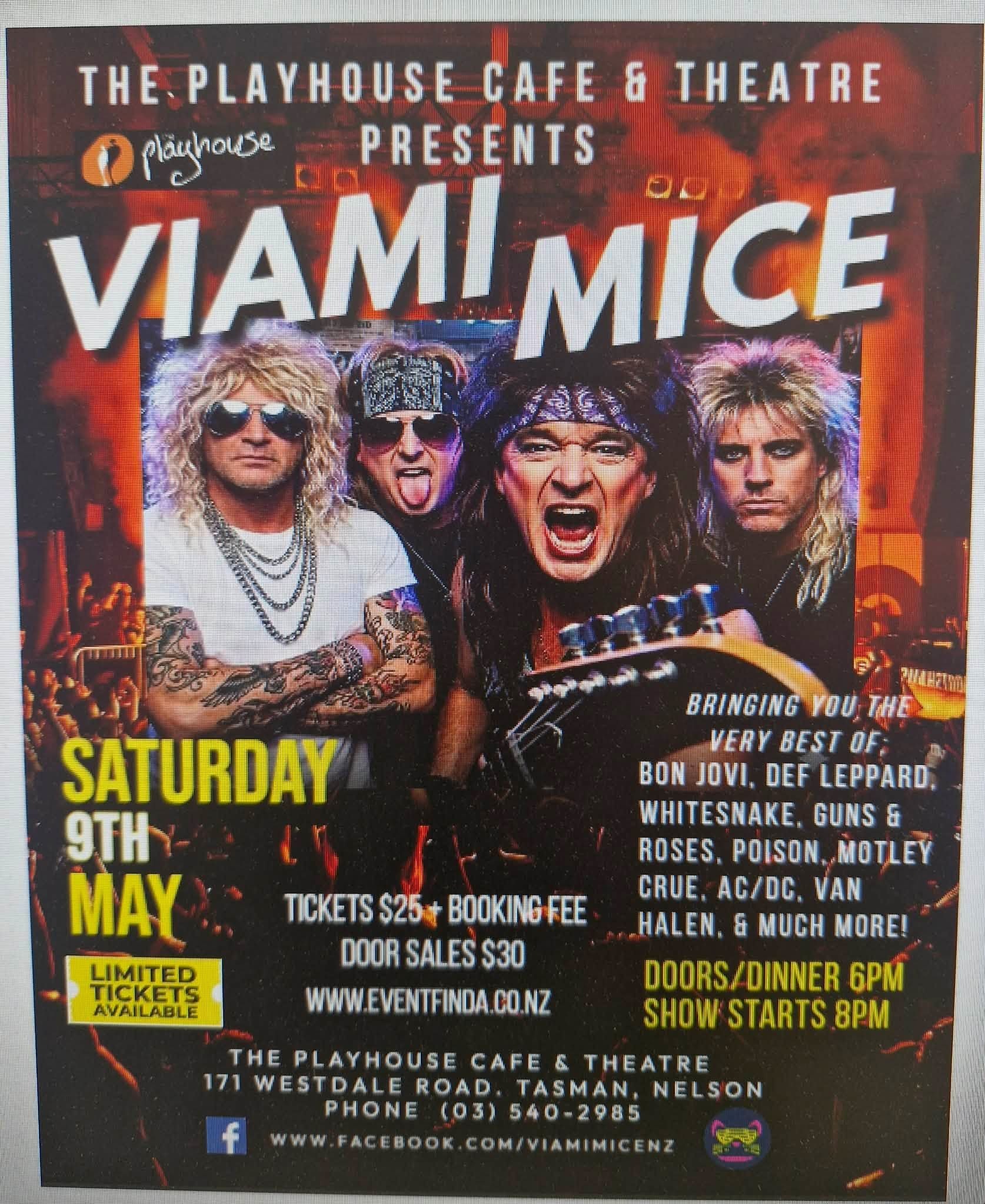 Viami Mice at The Playhouse Viami Mice at The Playhouse